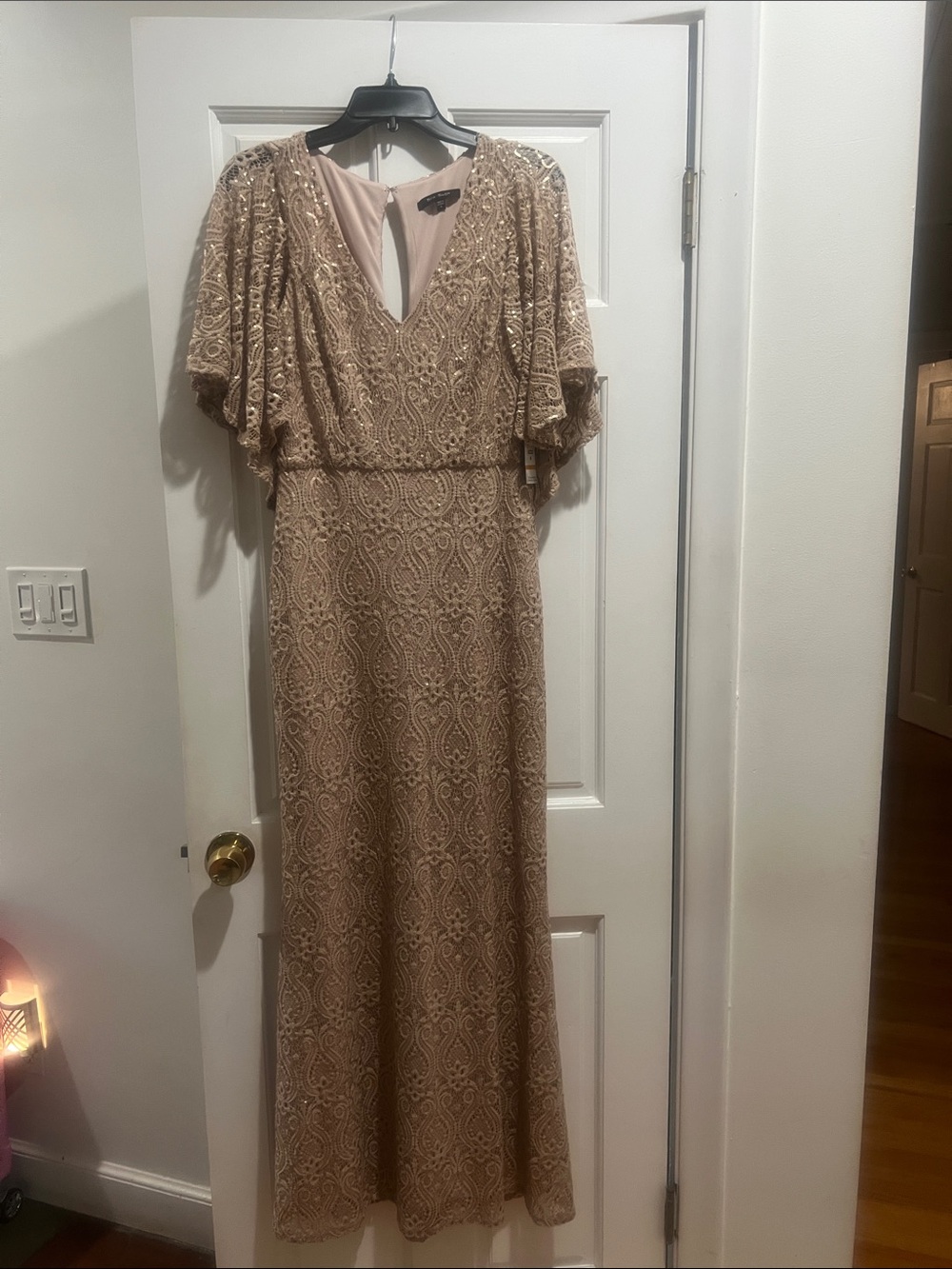 Blu Sage Dusty Rose Beaded Lace Gown
